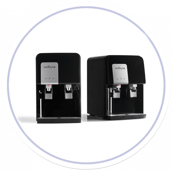 Wellsys 12000 Water & Ice Machine EcoWater of Atlanta